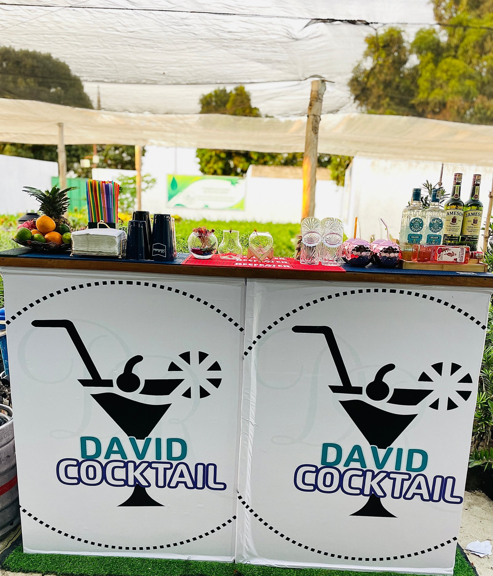 🍊Team  Cocktail Mixologist